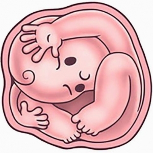 Влияние глубинной травмы матери в период беременности на формирование психотипа ребенка (популярное изложение)